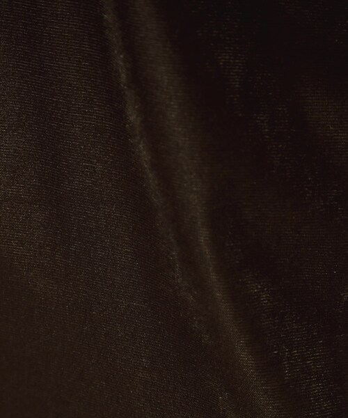 THE SHOP TK （ザ ショップ ティーケー ）の「◆シアーベロアカットソー【洗える】（Tシャツ/カットソー・レディース・ブルー/オフホワイト/ダークブラウン/ブラック・13/12）」の5枚目の写真