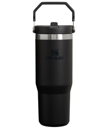 BRID（ブリッド）の「STANLEY ｱｲｽﾌﾛｰﾌﾘｯﾌﾟｽﾄﾛｰ真空ﾀﾝﾌﾞﾗｰ 0.89L（グラス/マグカップ/タンブラー）」