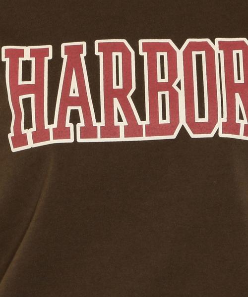 green label relaxing（グリーンレーベルリラクシング）の「SC テンジク プリント Tシャツ（Tシャツ/カットソー・レディース・ケリー/パープル/ホワイト/ブラウン/オフホワイト/グレー・FREE）」の18枚目の写真