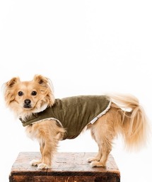 MODERNBEAST（モダンビースト）の「MODERN CLASSIC COAT（ペットウェア）」