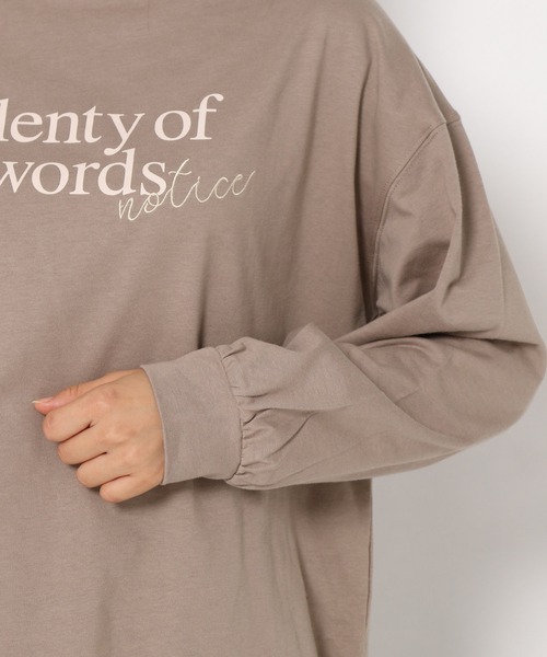 mysty woman(ミスティウーマン)の「刺繍プリントロンT 258223(Tシャツ/カットソー・レディース・ブラウン/オフホワイト/チャコール・FREE)」の14枚目の写真