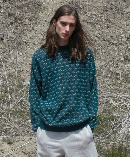 wonderland(ワンダーランド)の「Birdsfly(ニット/セーター・メンズ・ベージュ/グリーン・0/1)」の2枚目の写真