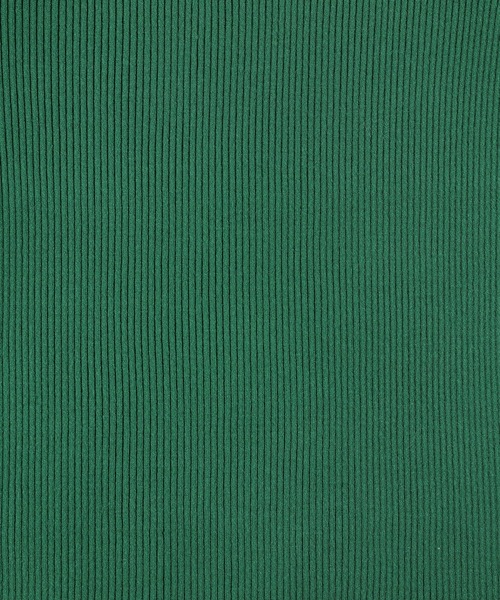 HONEYSUCKLE ROSE(ハニーサックルローズ)の「【HONEYSUCKLE ROSE】リブタートルネック(ニット/セーター・レディース・オフホワイト/ブラック/グリーン・M/L/S)」の10枚目の写真