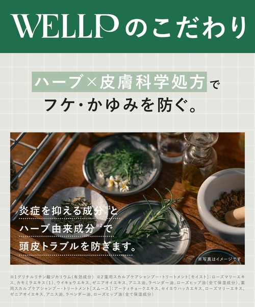 BOTANIST（ボタニスト）の「WELLP ウェルプ 薬用スカルプケア シャンプー トリートメント セット[医薬部外品]（シャンプー・レディース・モイスト/スムース・FREE）」の10枚目の写真