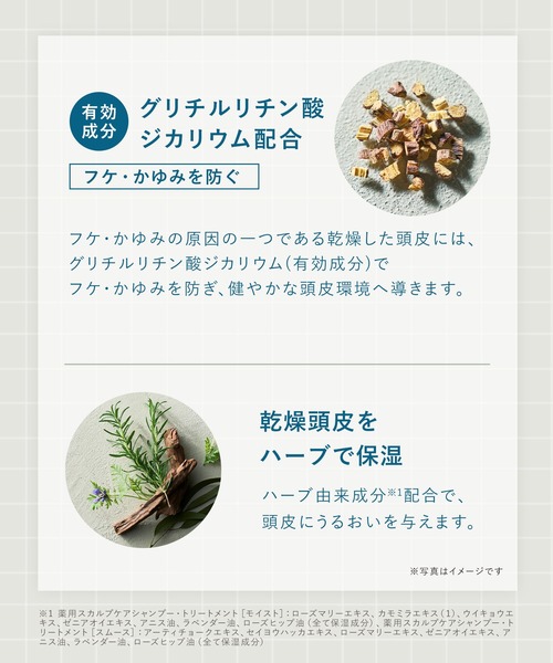 BOTANIST（ボタニスト）の「WELLP ウェルプ 薬用スカルプケア シャンプー トリートメント セット[医薬部外品]（シャンプー・レディース・モイスト/スムース・FREE）」の11枚目の写真