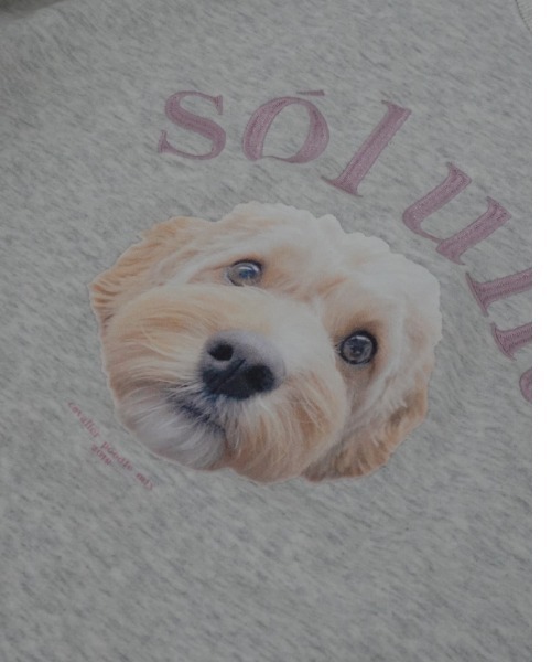 INTER FACTORY（インターファクトリー）の「soluna - アニマルプリントスウェット - made in INTER FACTORY（スウェット・レディース・アイボリー/ライトブルー・FREE）」の3枚目の写真