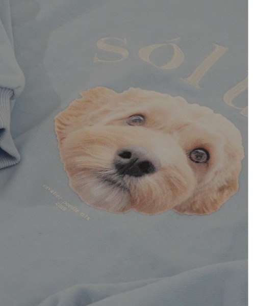 INTER FACTORY（インターファクトリー）の「soluna - アニマルプリントスウェット - made in INTER FACTORY（スウェット・レディース・アイボリー/ライトブルー・FREE）」の4枚目の写真