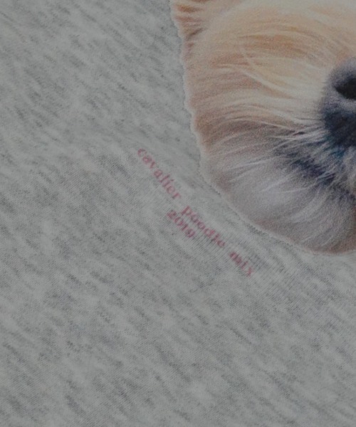 INTER FACTORY（インターファクトリー）の「soluna - アニマルプリントスウェット - made in INTER FACTORY（スウェット・レディース・アイボリー/ライトブルー・FREE）」の5枚目の写真