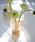 journal standard Furniture iW[iX^_[ht@j`[j́uGLASS VASE FUNGO@t[x[X Ԋ ԕrit[x[XjvbIW