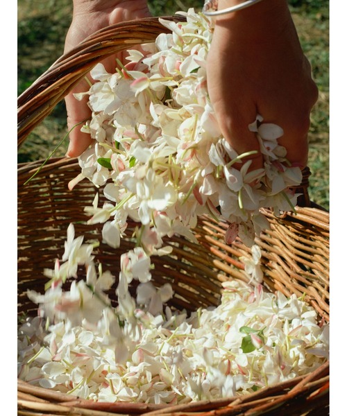 ACQUA DI PARMA ジェルソミーノ ア フレッド オーデパルファム ジェルソミーノ ア フレッド オーデパルファム - アクア ディ パルマ公式