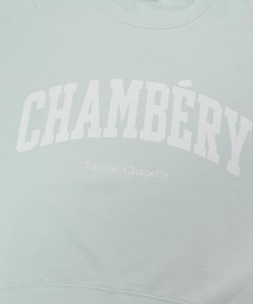 URBAN RESEARCH DOORS（アーバンリサーチドアーズ）の「カレッジロゴ刺繍スウェット（スウェット・レディース・ネイビー/ミント/ベージュ系その他・FREE）」の16枚目の写真