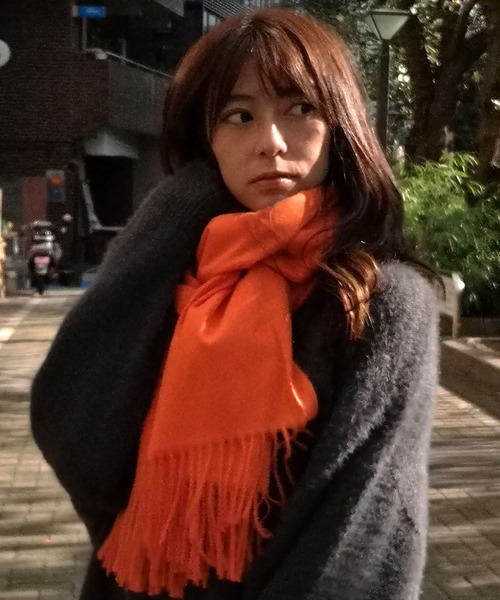 ACT�i�A�N�g�j�́u�J�V�~�A�^�b�`���n�X�g�[���i�X�g�[��/�X�k�[�h�j�v�b�I�����W