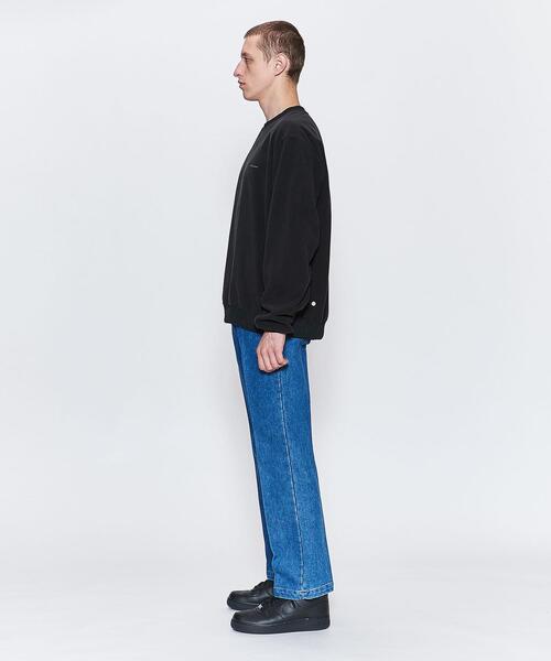 NULABEL(ニューレーベル)の「<NULABEL CM1Y0K42> POLAR PO CN/Tシャツ(Tシャツ/カットソー・メンズ・グレー/ブラック・M/L)」の11枚目の写真