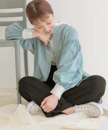 ITEMS URBANRESEARCH | クレリックストライプシャツ(シャツ/ブラウス)