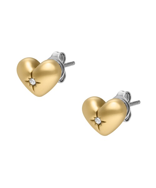 FOSSIL(フォッシル)の「フォッシル アクセサリー レディース ピアス ゴールド JF04832710(ピアス(両耳用)・レディース・GOLD・FREE)」の2枚目の写真
