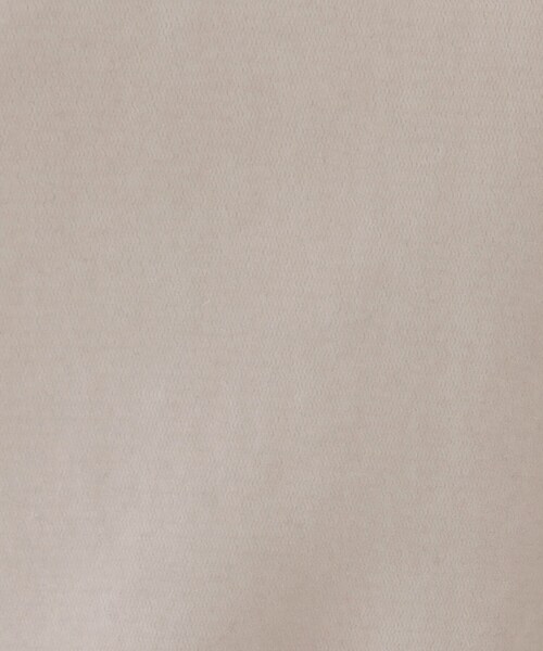 OPAQUE.CLIP（オペークドットクリップ）の「シアーベロアトップス【洗濯機洗い可】（Tシャツ/カットソー・レディース・ナチュラル/オフホワイト/チャコールグレー/ネイビー・38/40/42）」の16枚目の写真
