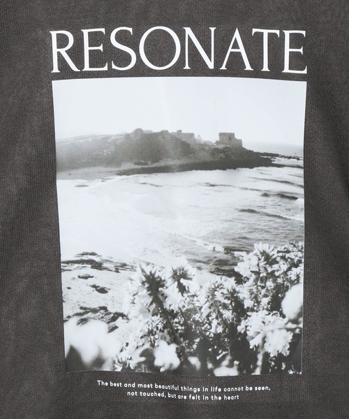 ちゃちゃまる セール】12ゲージシアーロゴ5分袖プルオーバー 322287（ニット