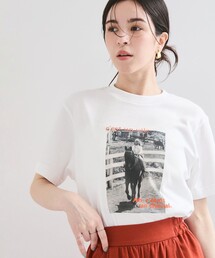【新品タグ付き⭐︎レア】馬　ウマ　うま　Tシャツ　カットソー　トップス 馬」に該当するTシャツ/カットソーファッション通販 - ZOZOTOWN