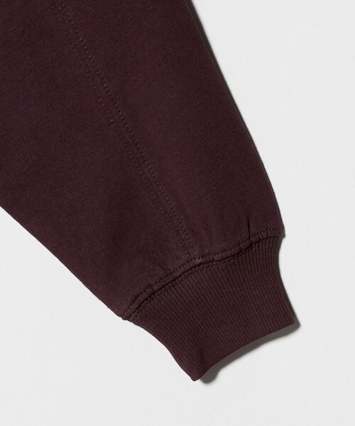 THRASHER(スラッシャー)の「【別注】<THRASHER>プリントスウェット / トレーナー / キッズ 100cm-130cm(スウェット・キッズ・ライトブルー/ワイン/ブラック・S(120-130cm)/XS(100-110cm))」の12枚目の写真