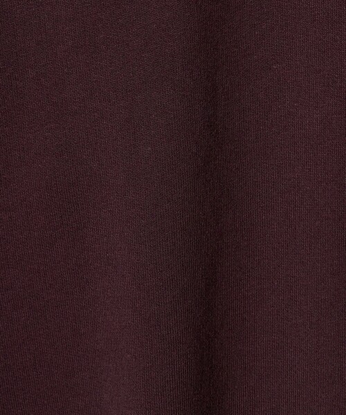 THRASHER(スラッシャー)の「【別注】<THRASHER>プリントスウェット / トレーナー / キッズ 100cm-130cm(スウェット・キッズ・ライトブルー/ワイン/ブラック・S(120-130cm)/XS(100-110cm))」の14枚目の写真