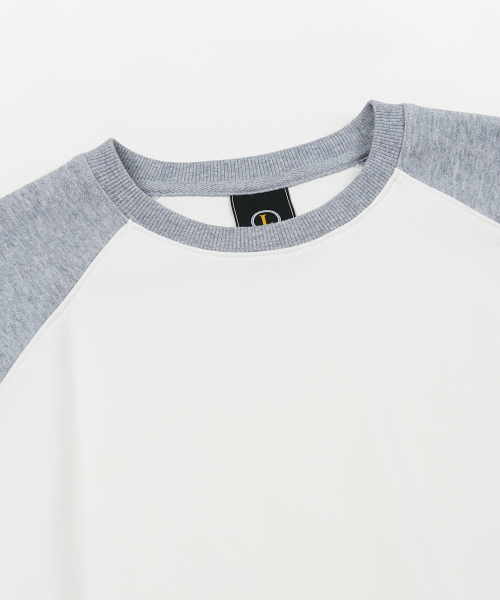 FRIZMWORKS(フリズムワークス)の「RAGLAN LONG SLEEVE TEE 002 _ GRAY(Tシャツ/カットソー・メンズ・その他・LARGE/X-LARGE/SMALL/MEDIUM)」の3枚目の写真