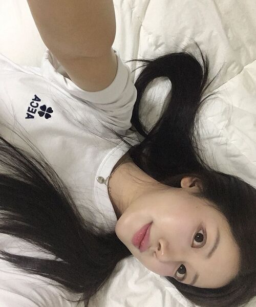 AECA(エイカ)の「EVERYDAY AECA CLOVER HALF SLEEVE TEE-WHITE(Tシャツ/カットソー・レディース・その他・SMALL/X-LARGE/2XL/LARGE/MEDIUM)」の9枚目の写真