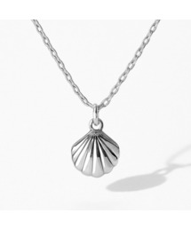 MARK-4（マーク4）の「NECKLACE SHELL（ネックレス）」