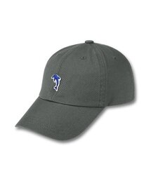 DOLPHIN WAVE APPAREL（ドルフィンウェーブアパレル）の「ドルフィンミニ刺繍ボールキャップ グレー（キャップ）」