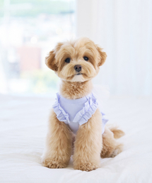 MY LITTLE DOG（マイ リトル ドッグ）の「Soda Frill Crop Top - Blue（ペットウェア）」