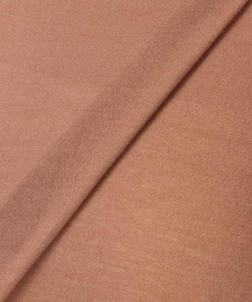 JOURNAL STANDARD(ジャーナルスタンダード)の「《追加》クルーネックシアーロングTシャツ(Tシャツ/カットソー・レディース・バーガンディー/キャメル/ホワイト/ストーン・FREE)」の17枚目の写真