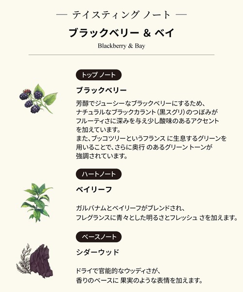 ジョー マローン ロンドン ブラックベリー香水100ml ブラックベリー ＆ ベイ コロン | ジョー マローン ロンドン Jo Malone