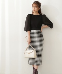 PROPORTION BODY DRESSING | ギンガムタイトスカート / 1211220915(スカート)