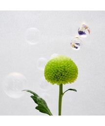 ANEVER | MINI BALL ピアス(ピアス（両耳用）)