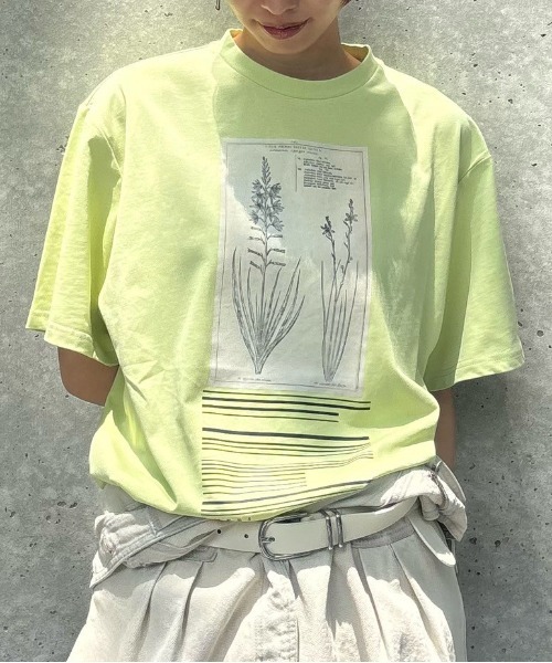 CROP FRAME FLOWER TEE（Tシャツ/カットソー）｜Ameri（アメリ