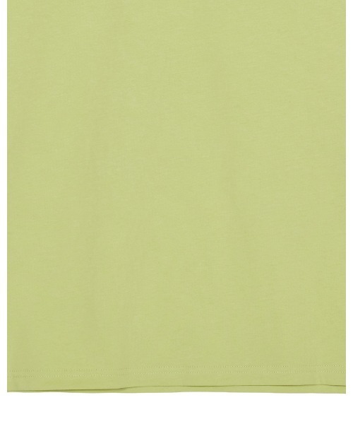 amerie様 CROP FRAME FLOWER TEE（Tシャツ/カットソー）｜Ameri（アメリ