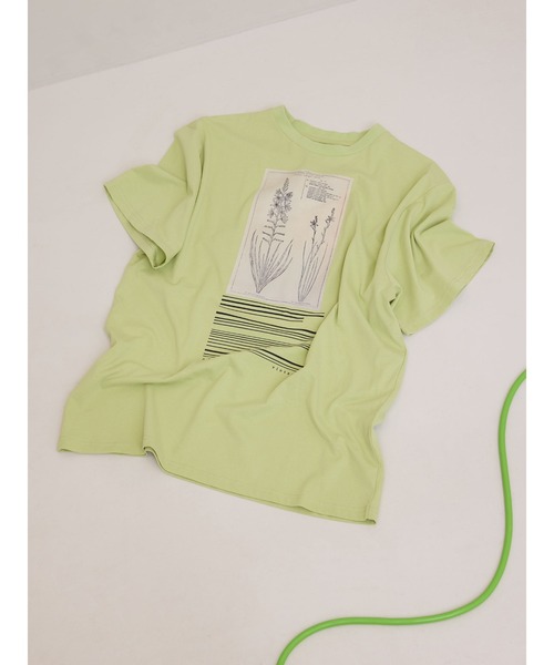 CROP FRAME FLOWER TEE（Tシャツ/カットソー）｜Ameri（アメリ