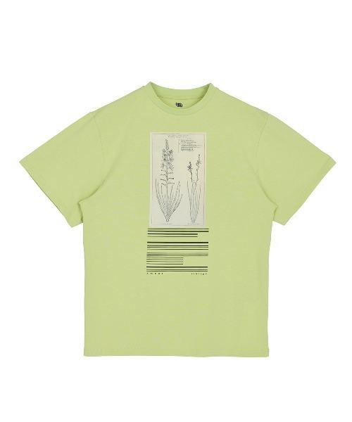 amerie様 CROP FRAME FLOWER TEE（Tシャツ/カットソー）｜Ameri（アメリ