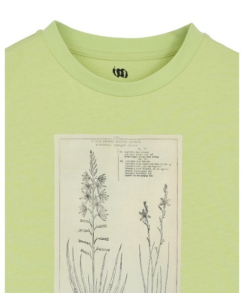 Ameri(アメリ)の「CROP FRAME FLOWER TEE(Tシャツ/カットソー・レディース・ライム・FREE)」の10枚目の写真