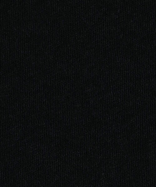 JAMES PERSE(ジェームスパース)の「コットンジャージー クルーネックTシャツ MRFJ3671(Tシャツ/カットソー・メンズ・ホワイト/ライトグレー/ブラック/ライトブルー・2/3/0/1)」の12枚目の写真