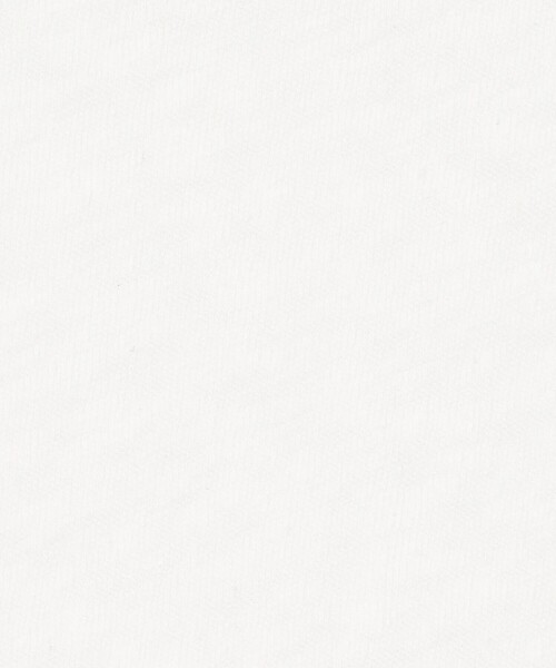 JAMES PERSE(ジェームスパース)の「コットンジャージー クルーネックTシャツ MRFJ3671(Tシャツ/カットソー・メンズ・ホワイト/ライトグレー/ブラック/ライトブルー・2/3/0/1)」の13枚目の写真