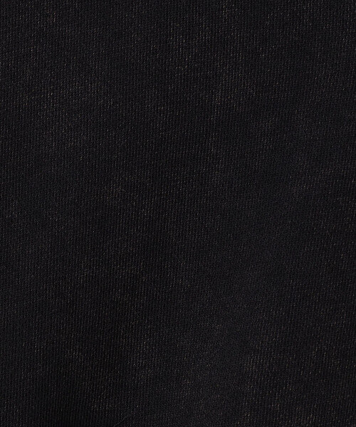 Purple&Yellow（パープルアンドイエロー）の「フロスト加工裏毛 パーカ（パーカー・メンズ・サックスブルー/ブラウン/ブラック・MEDIUM/SMALL/LARGE）」の14枚目の写真