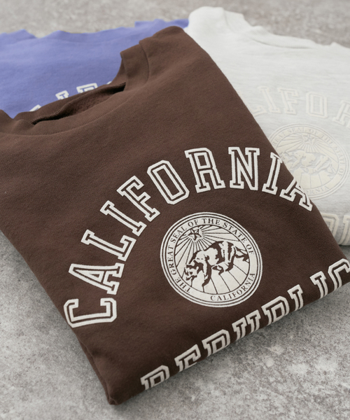 Spick & Span(スピックアンドスパン)の「SLOPPY SUPPLY / スラッピーサプライ REPUBLIC スウェット(スウェット・レディース・ブルー/グレー/ブラウン・SMALL)」の3枚目の写真