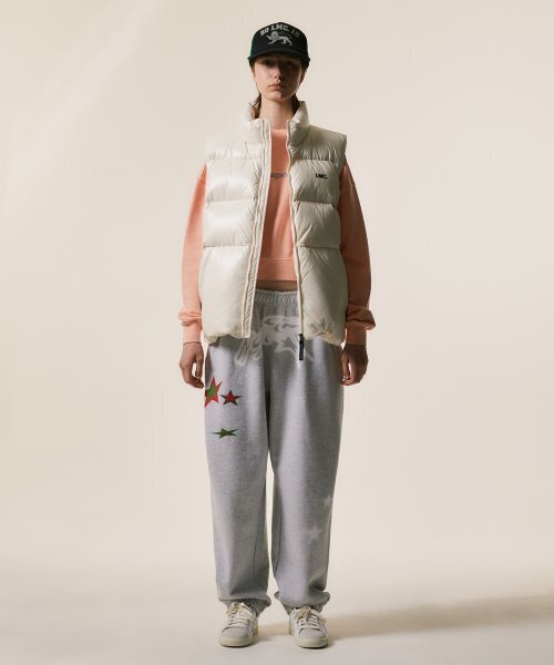 LMCの「TWINKLE STAR SWEAT PANTS heather gray(スウェットパンツ・レディース・その他・MEDIUM/LARGE)」の14枚目の写真