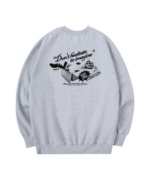 RADINEO(ラディネオ)の「キャットボックスマンツーマン グレー(スウェット・メンズ・その他・LARGE/MEDIUM/X-LARGE)」の1枚目の写真