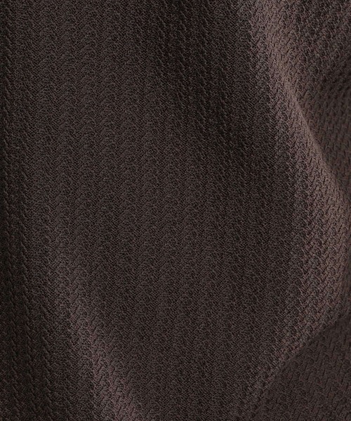 HARE（ハレ）の「パールボタンニットシャツ(HARE)（ニット/セーター・メンズ・ブラウン/ブラック/ホワイト・FREE）」の10枚目の写真