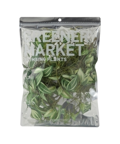 Francfranc（フランフラン）の「クライミングプランツ ポトス グリーン（インテリア雑貨・レディース・マルチ・FREE）」の5枚目の写真
