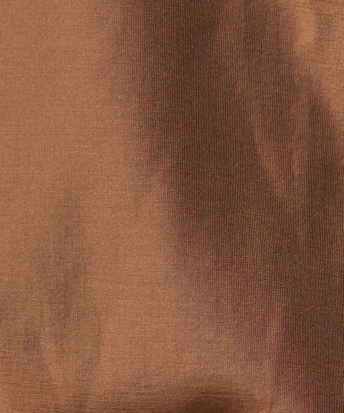 Rouge vif（ルージュヴィフ）の「シアーシャツ（シャツ/ブラウス・レディース・アイボリー/ブラウン/ベージュ・フリー）」の21枚目の写真