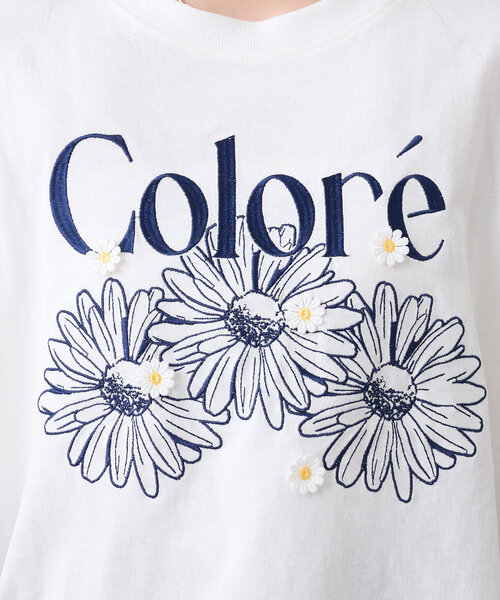 Another Branch olive des olive(アナザーブランチオリーブデオリーブ)の「お花シリーズBIGTシャツ(Tシャツ/カットソー・レディース・スミクロ/ミント/オートミール/ホワイト系その他/オフホワイト/ブルー/ブラック系その他・FREE)」の22枚目の写真