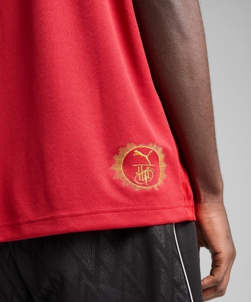 PUMA(プーマ)の「PUMA x HARRY POTTER Relaxed Football Jersey(プーマ x ハリーポッター リラックス フットボール ジャージ)(Tシャツ/カットソー・メンズ・レッド系/グリーン系・X-LARGE/LARGE/MEDIUM)」の7枚目の写真