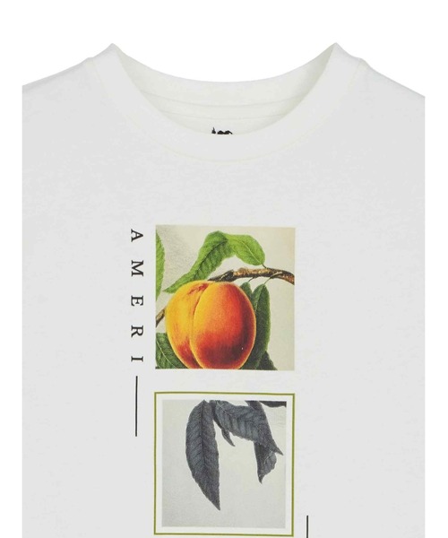 CROP FRAME PLUM TEE（Tシャツ/カットソー）｜Ameri（アメリ）の
